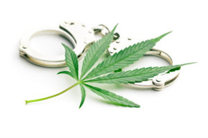 Grayson County marijuana arrest